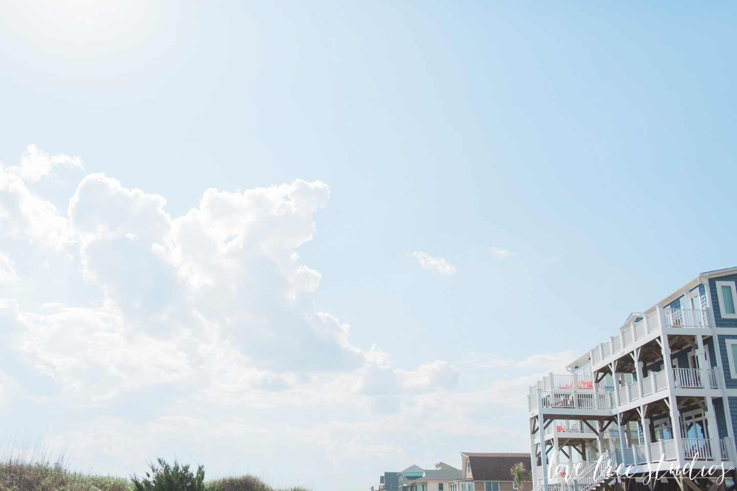 love tree studios destination wedding north carolina