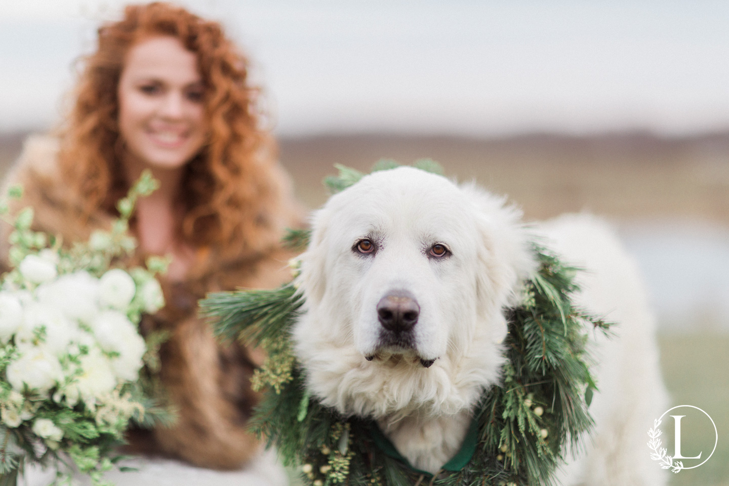 love tree studios, winter wedding, styled session, the wedding c