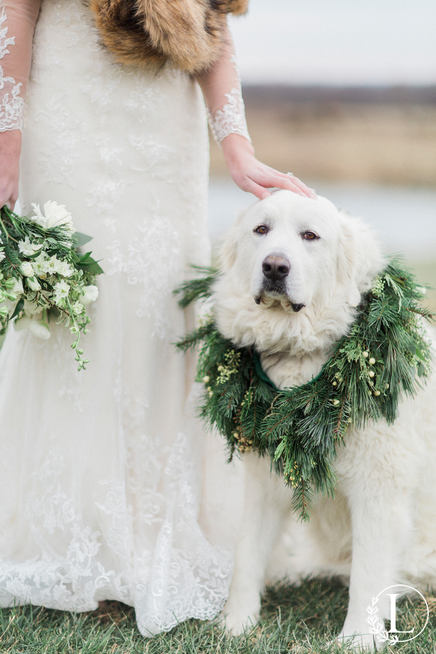 love tree studios, winter wedding, styled session, the wedding c