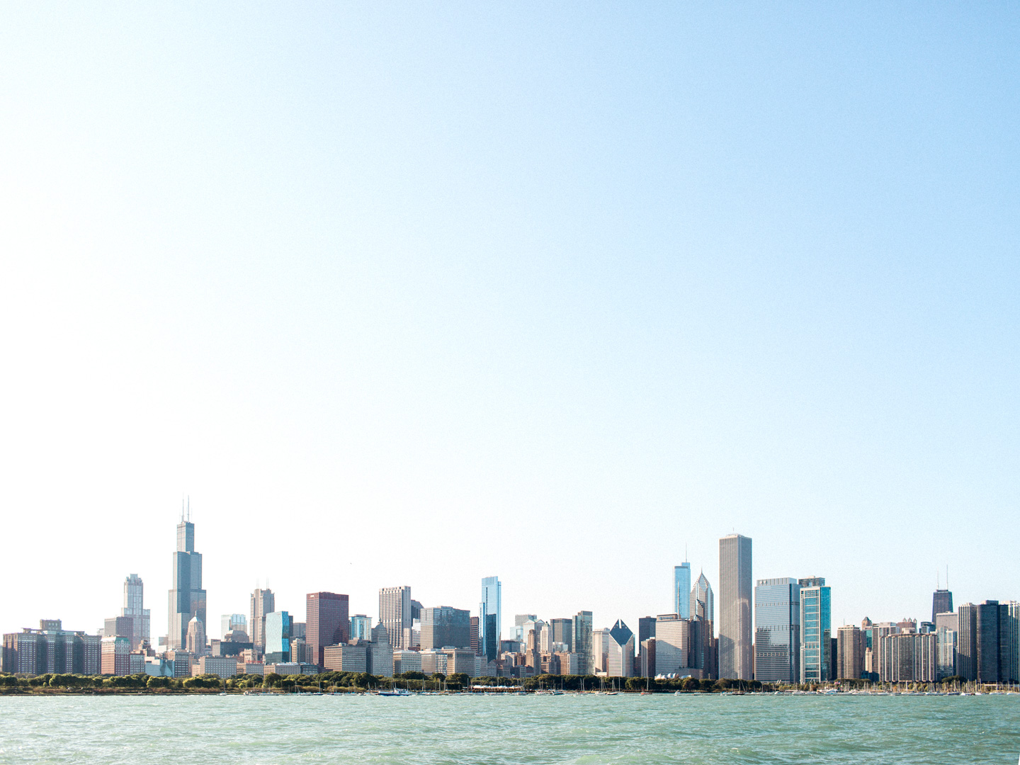 Chicago city skyline captured during engagement session by Love Tree Studios