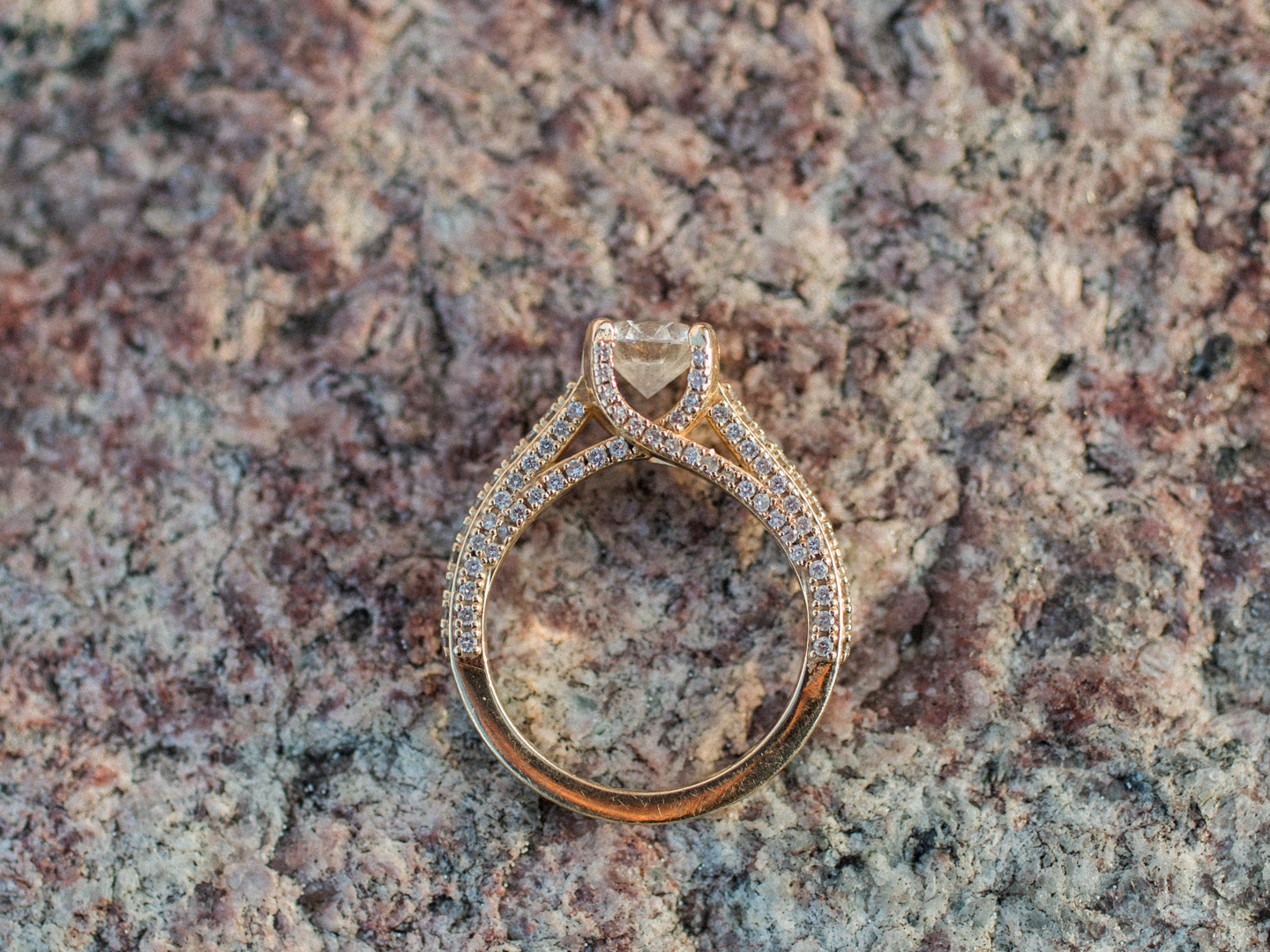 Engagement ring details captured in Chicago by Love Tree Studios