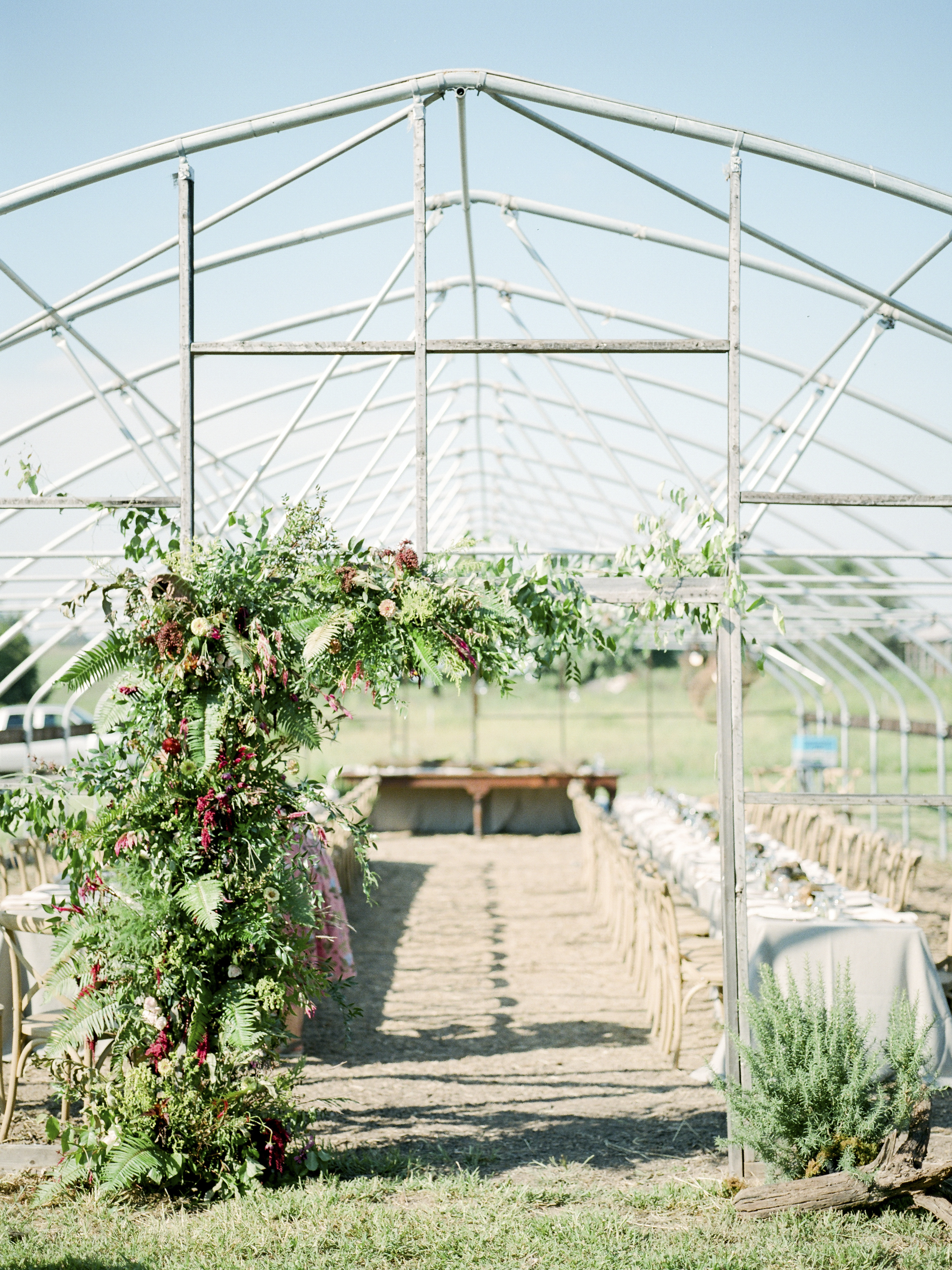blue bell farm, farm to table, green house, events, wedding events, receptions, missouri wedding photography, reception hall, farm to table, sugarberry blooms, florals, fine art photography