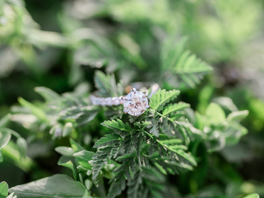 An engagement ring rests on a field of green during a Capen Park engagement session by Love Tree Studios.