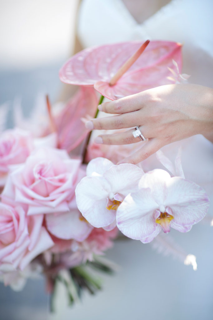 The Chatol House & Gardens by Love Tree Studios