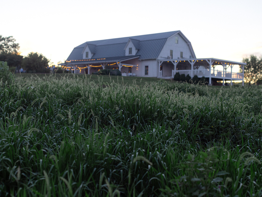 A summer farm dinner at Blue Bell Farm in Fayette, Missouri photographed by Love Tree Studios.