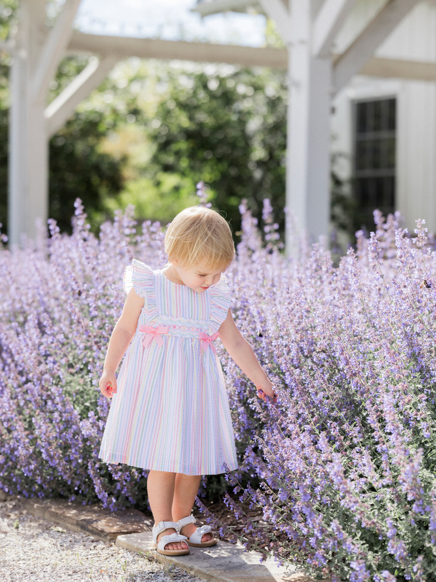 A second birthday portrait with the Bryan family at Blue Bell Farm with Love Tree Studios.