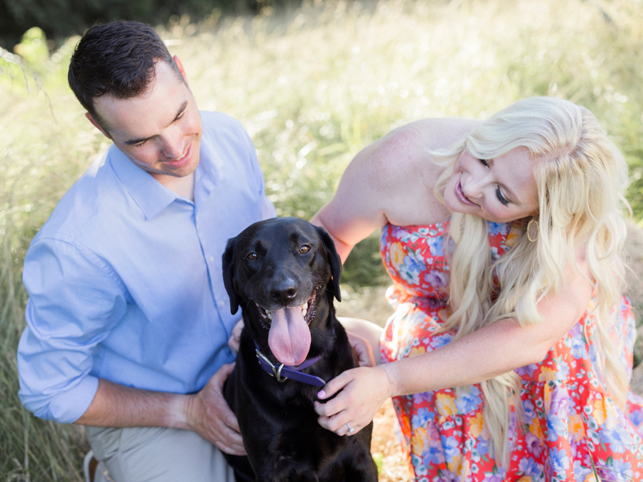 An engagement session at the lavender lookout farm in rocheport, missouri by love tree studios.