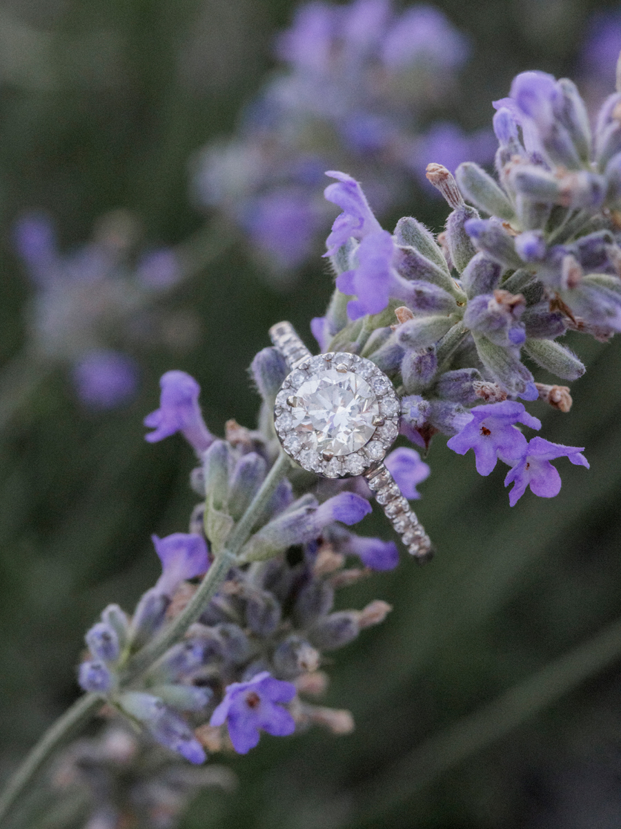 An engagement session at the lavender lookout farm in rocheport, missouri by love tree studios.