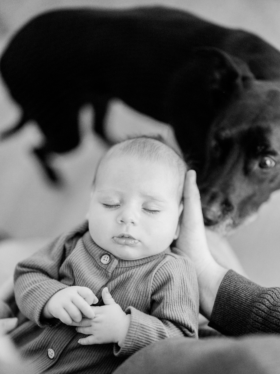 Charlie, the family’s dog, gently watching over baby Corbin Wesley during their in-home session by Love Tree Studios.