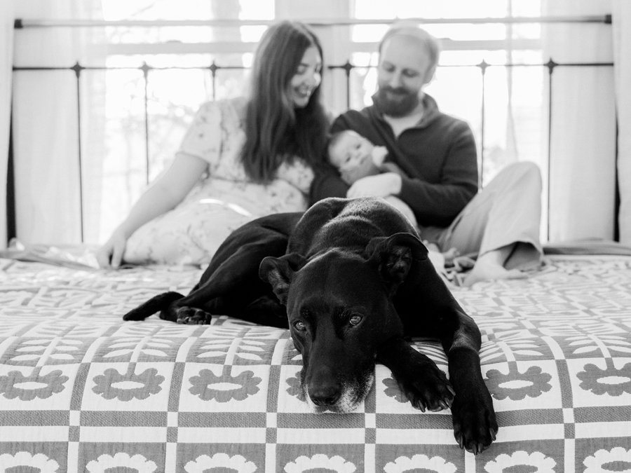 Charlie the dog lying next to baby Corbin Wesley during an in-home Columbia newborn photography session.