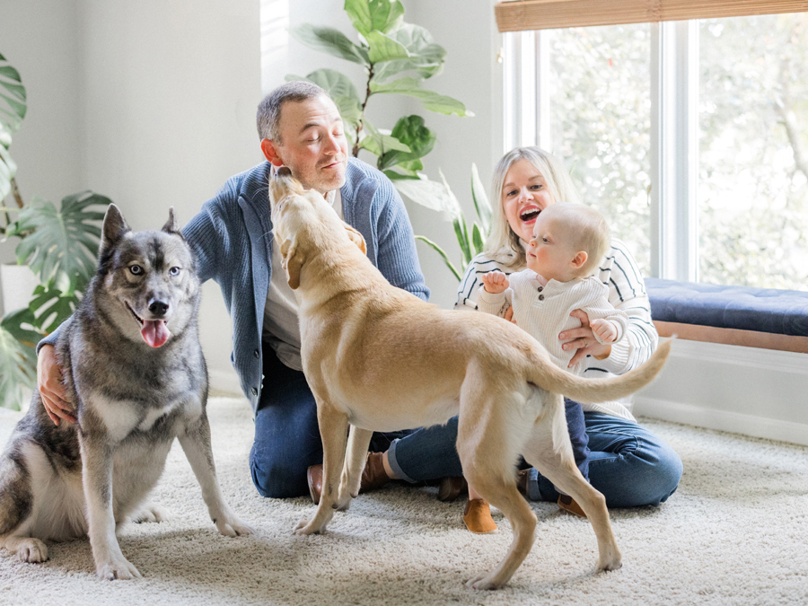 Indoor family portrait with two dogs on a leather couch, captured by Love Tree Studios, offering cozy and vibrant family photography in Columbia, MO.