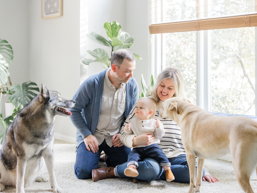 Family photo with playful dogs on a sunny day, showcasing vibrant fall colors by Love Tree Studios in Columbia, MO.