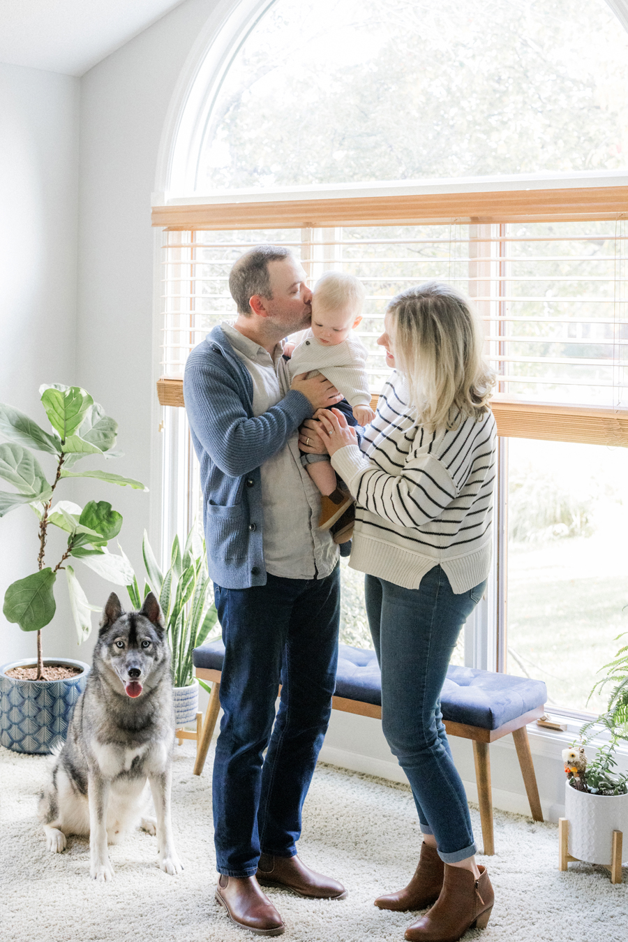 Playful shot of dogs interacting with the family during a session with Love Tree Studios in Columbia, MO.