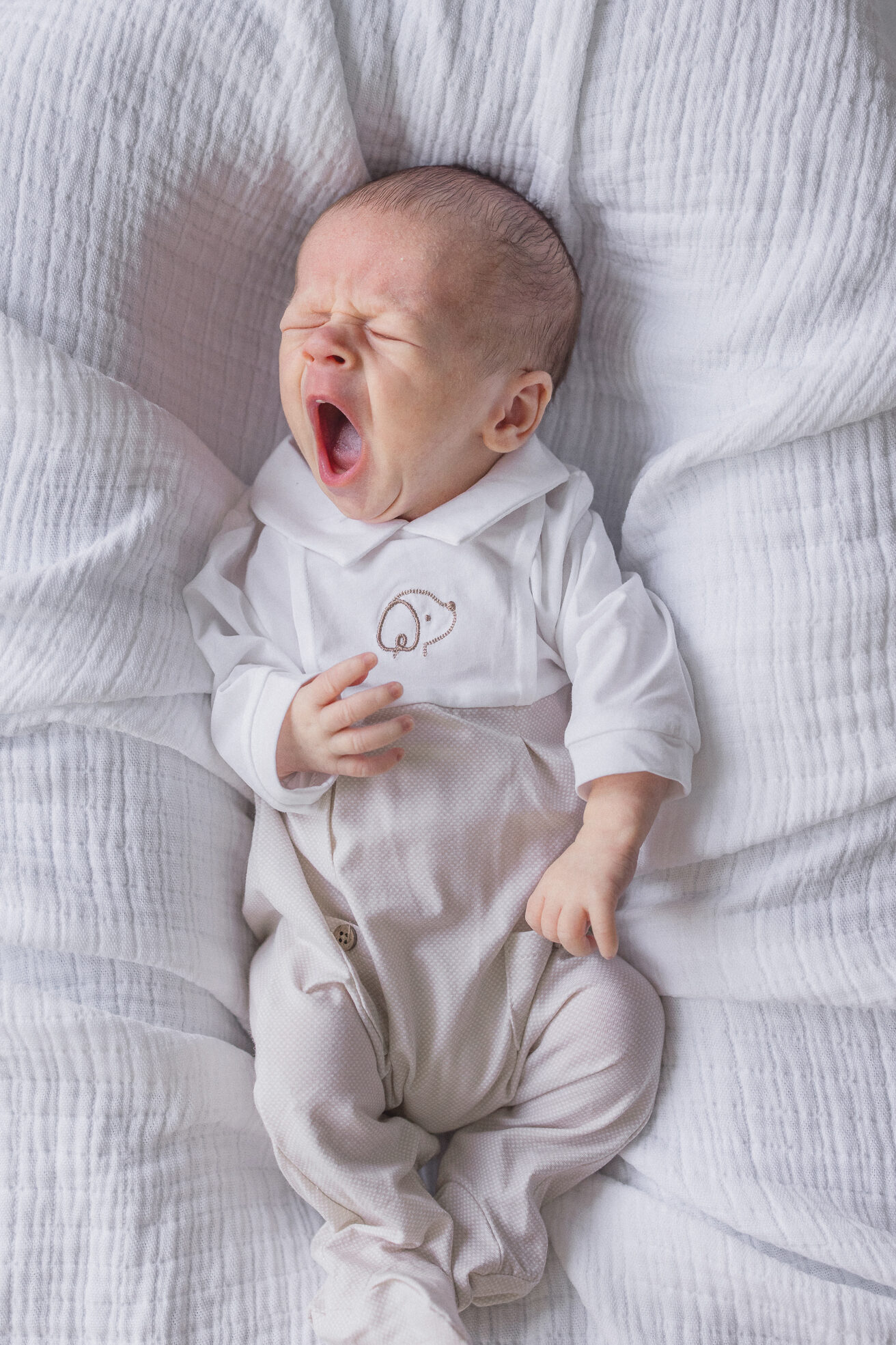 Close-up of baby Win yawning during a Columbia Missouri newborn session.
