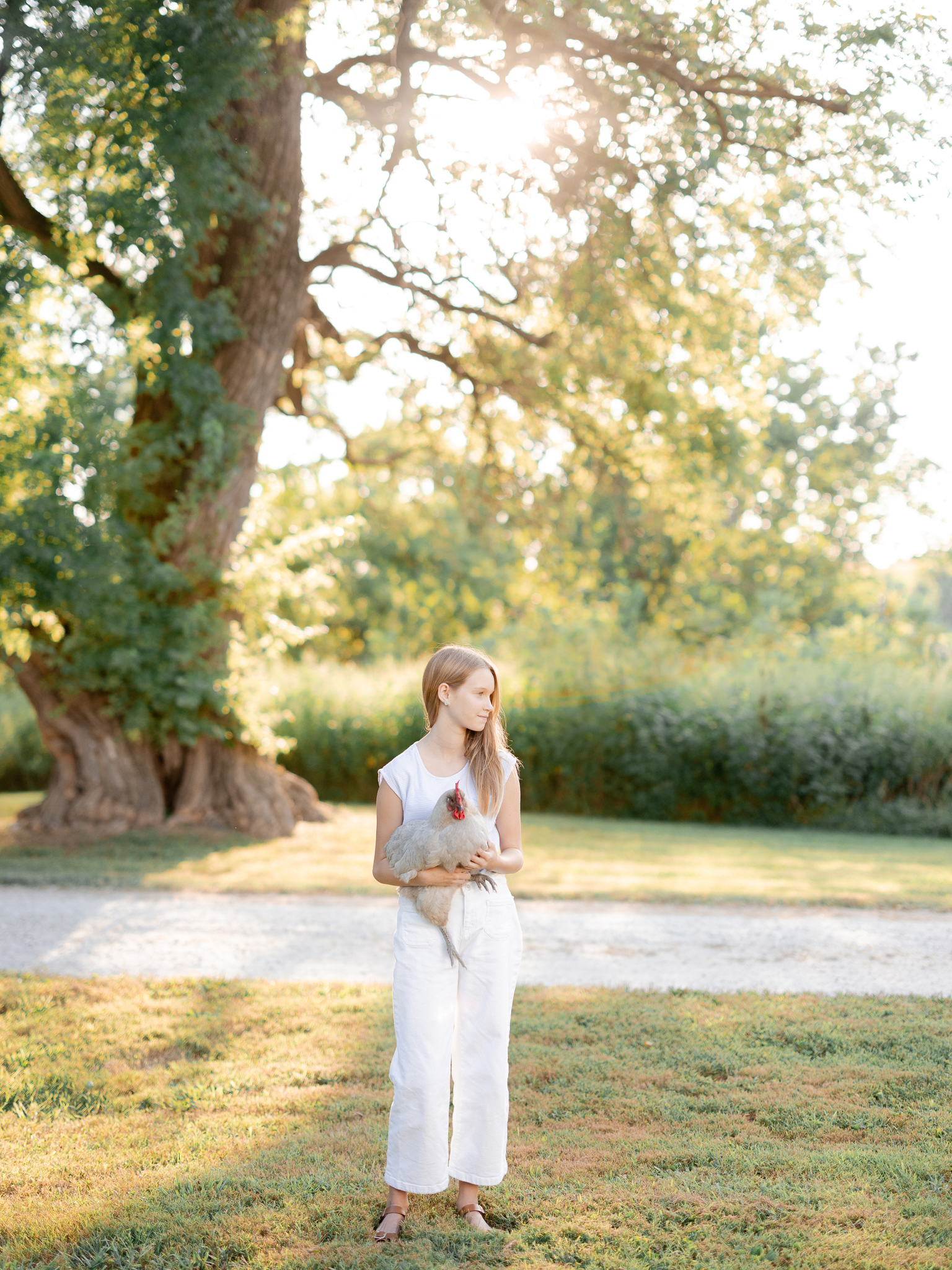 Older daughter holding a chicken in the yard — Missouri family photographer Love Tree Studios.