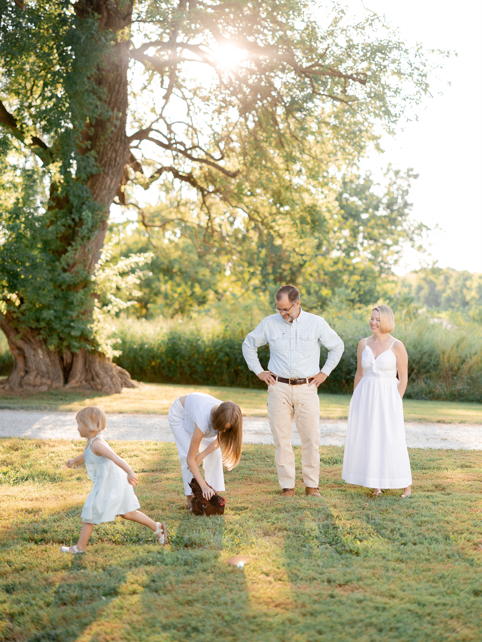 Family portrait under a large tree in golden evening light, Missouri family photography.