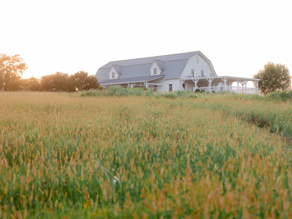 Blue Bell Farm white farmhouse barn surrounded by golden fields at sunset — Missouri family photographer.