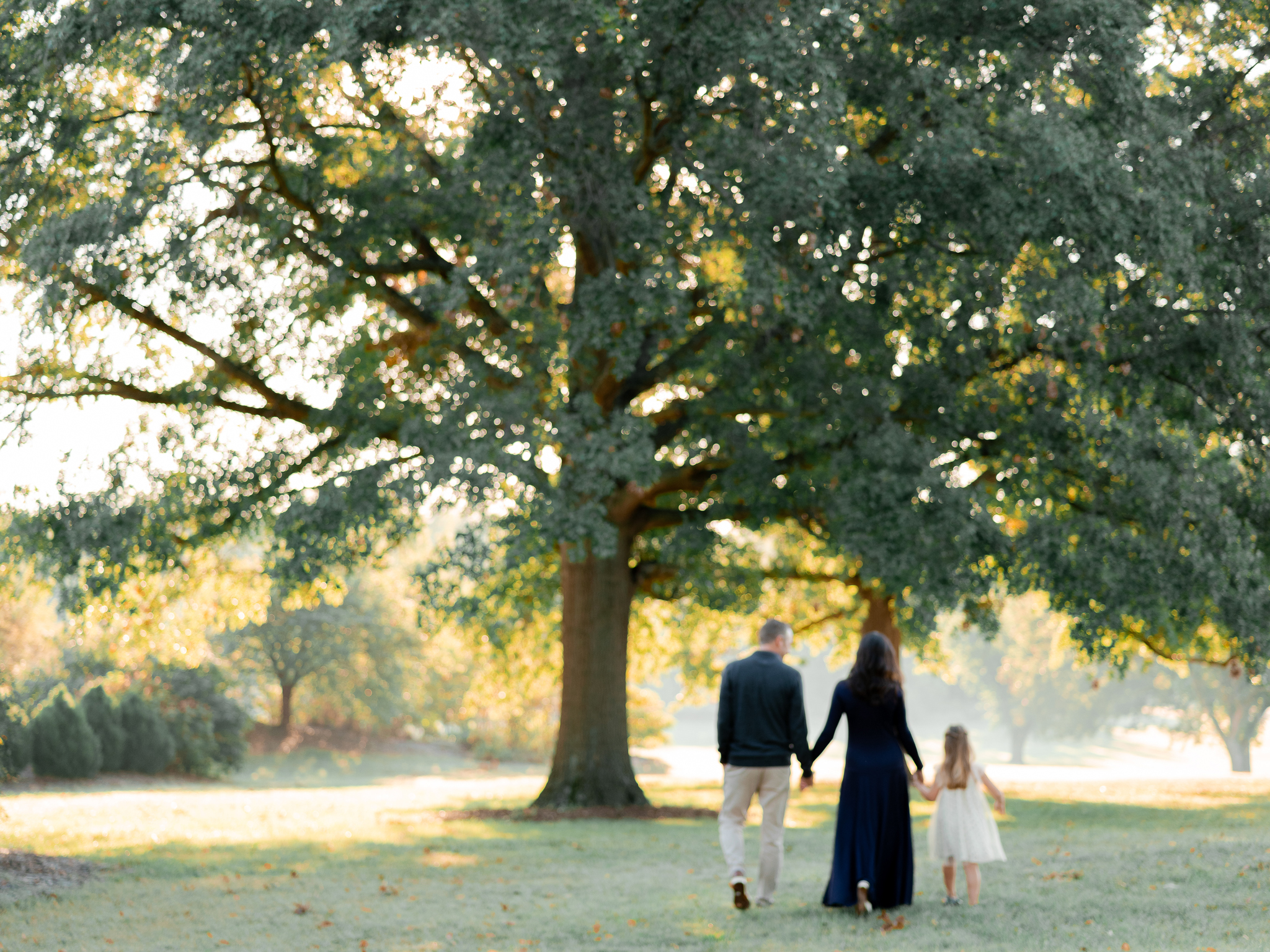 Back view of family holding hands and walking into the golden light – Columbia Missouri sunrise family session.