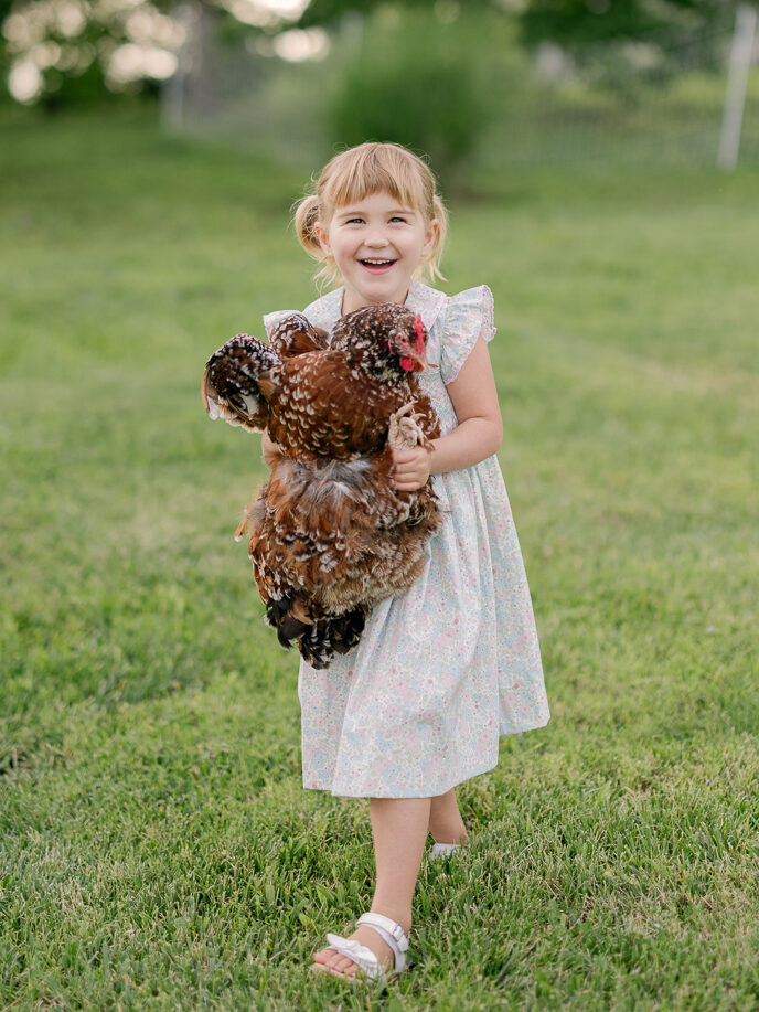 Little girl laughing while carrying a large speckled chicken across the lawn.