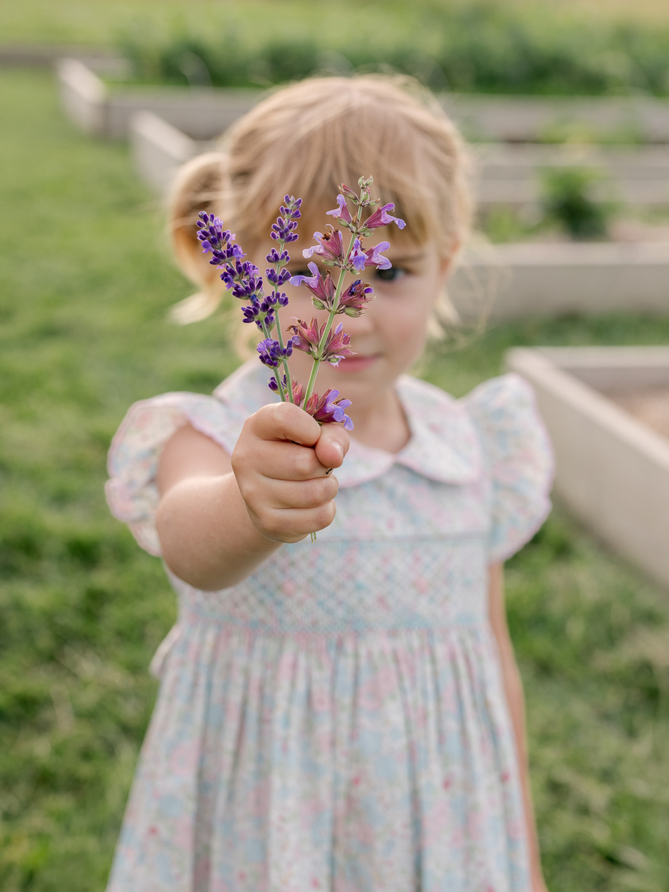 Little girl holding out a handful of purple lavender sprigs to the camera.